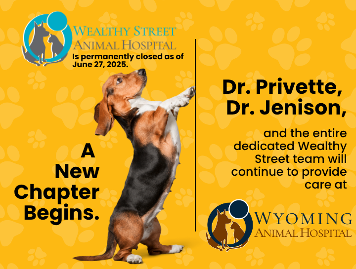 Wealthy Street Animal Hospital is now permanently closed as of June 27, 2025.