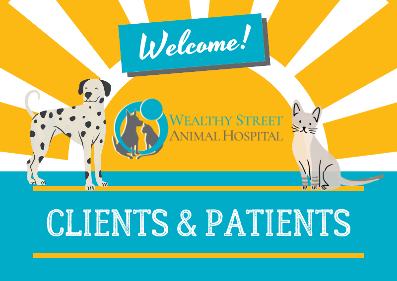 Carousel Slide 1: Welcome, Wealthy Street clients and patients!
